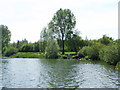 Craigavon (Balancing) Lakes