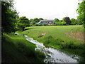 View along the Nailbourne towards Bridge