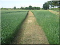 Footpath near Moat Cottage