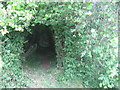 TQ7041 : Green tunnel on footpath by David Anstiss
