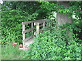 Footbridge in hedge