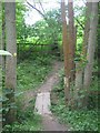 Footbridge near Knights Hole