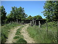 Newton Bridleway