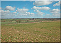 Oxfordshire farmland