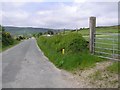 C5337 : Road at Ballyargus by Kenneth  Allen
