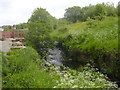 Swinnel Brook looking upstream