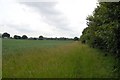 Footpath near Hanningfield Reservoir (3)