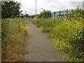 Cycle path alongside the Gipping