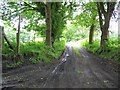 Bridleway near Minsted