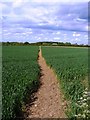 Path to Glebe Farm