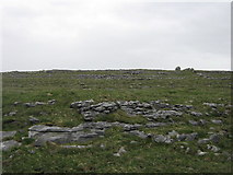 R0799 : Burren limestone by David Medcalf