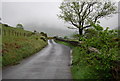 NY1807 : Road to Wasdale Head by N Chadwick