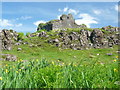 NM6942 : Ardtornish Castle. by sylvia duckworth