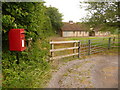 Dewlish: postbox № DT2 151, Milborne Wood