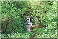 TL1730 : Waterfall at Oughtonhead Common Nature Reserve by Martin