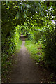 Footpath to the canal, Leven