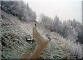 Frosty paths by Pinnacle Hill