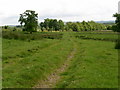 Farm track leading to High Mains