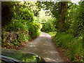 Lonesome Lane, Newtown, Powys