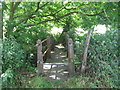 Footbridge over River Bourne