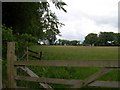 Field near Maesymeillion