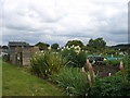 Sproughton allotments