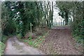 Meeting of paths, Broxash Wood