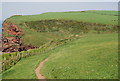 NX9413 : Coastal path descends to Fleswick Bay by N Chadwick