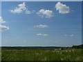 Fields at Toton