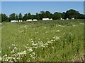 Travellers on Toton Fields