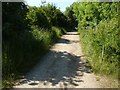 Path at Toton