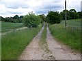 Bridleway near Great Bedwyn