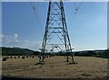 SX9397 : Stoke Canon : Hay Bales, Field & Electricity Pylons by Lewis Clarke