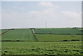 Fields near Tarnflat Hall Farm