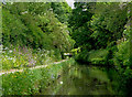 Marsh Lane Narrows, near Wolverhampton