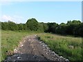 Rubble trackway through farmland