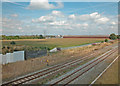 Railway Line Saltney Ferry