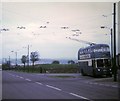 Bradford Trolleybus at Clayton terminus