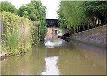 SO8555 : Worcester and Birmingham Canal by Pierre Terre