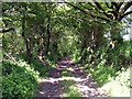 Track near Clappers Wood