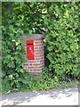 Post box in the hedge