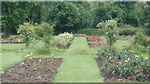 TQ2668 : The Rose Garden, Morden Hall Park by Peter Trimming