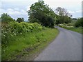 NZ1450 : Hedgerow on Lunds Lane near Stoney Heap by Ann Clare