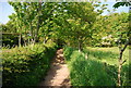 Footpath through Ravenglass