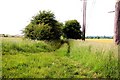 Bridleway to Sutton Courtenay