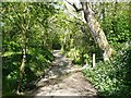 Footpath, Poughill (Bude)