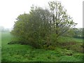 Wet corner, Camelford