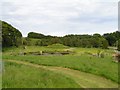 Gardens at Orroland