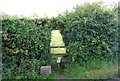 Stile in a hole in the hedge, Hildenborough Rd