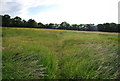 Footpath across a meadow